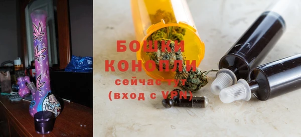 сатива Горнозаводск