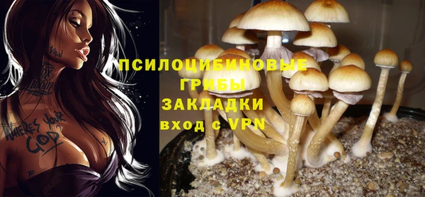 ALPHA PVP Вязники