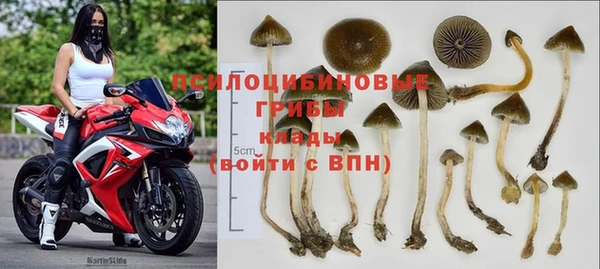 а пвп мука Вязьма